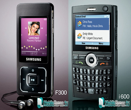 samsung_f300_i6001.jpg