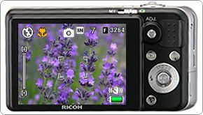ric 070828 caplior7ss1
