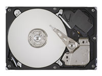 sas1tbseagate.jpg
