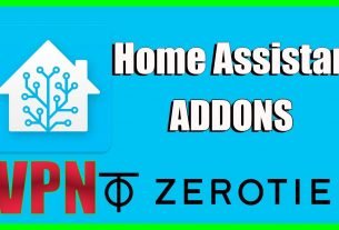Zerotier Home Assistant ZonaGadget