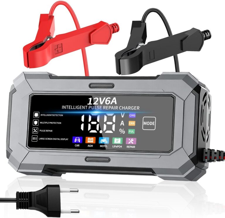 Cargador 12V 6A